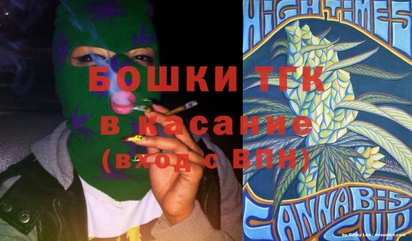 молекула духа Каменногорск