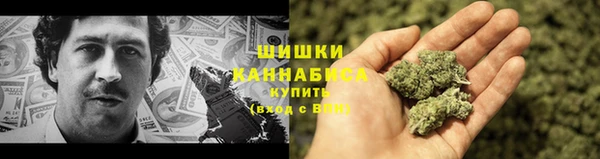 молекула духа Каменногорск