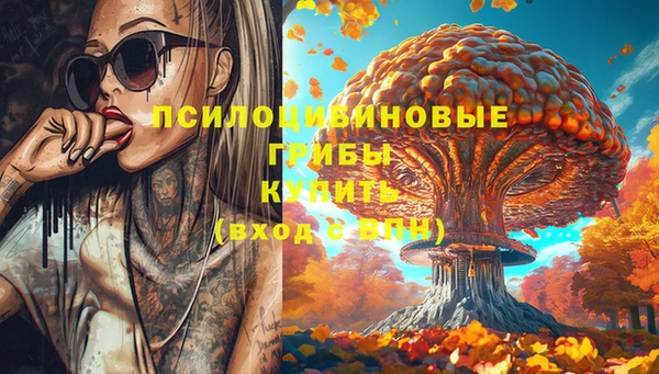 твердый Каменка